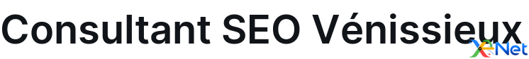 Consultant SEO Vénissieux